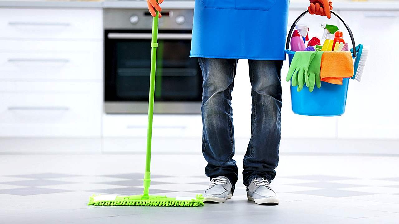 Ev Temizliği